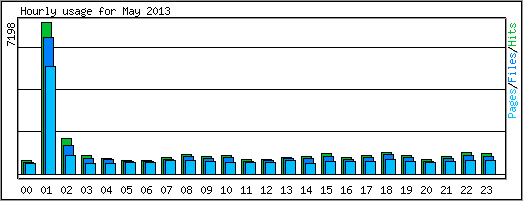 Hourly usage