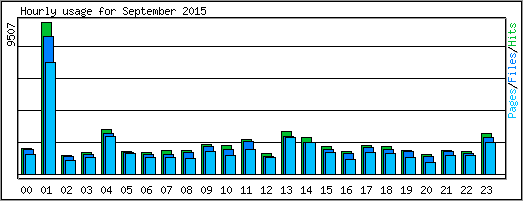 Hourly usage