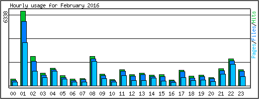 Hourly usage