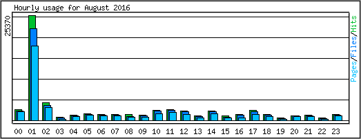 Hourly usage