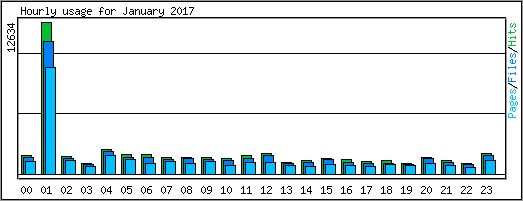 Hourly usage