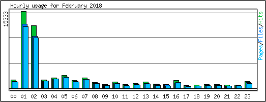 Hourly usage